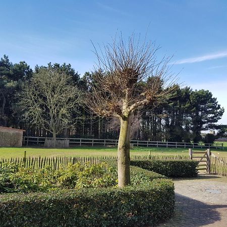 B&B Bergenhof 霍赫斯特拉滕 外观 照片