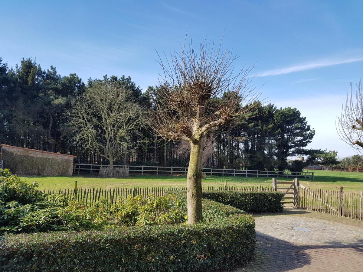 B&B Bergenhof 霍赫斯特拉滕 外观 照片